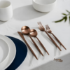 Faqueiro Inox Minimalista Rose 24 Peças